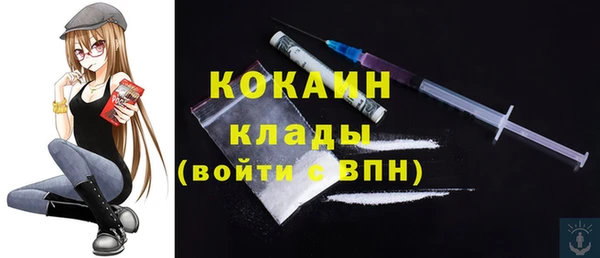 крисы Армянск