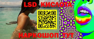 прущие крисы Кандалакша