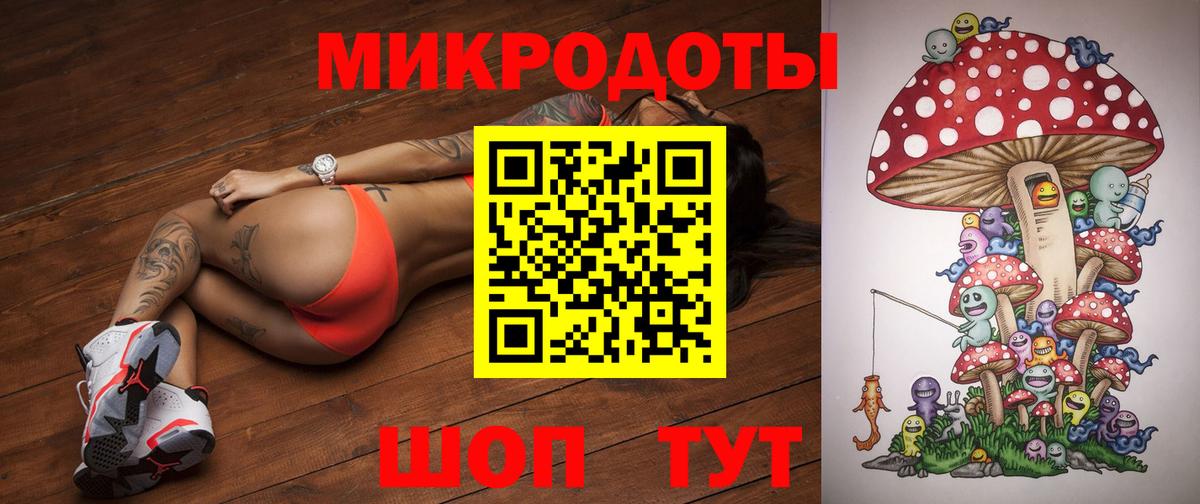 Галлюциногенные грибы Psilocybe Электрогорск